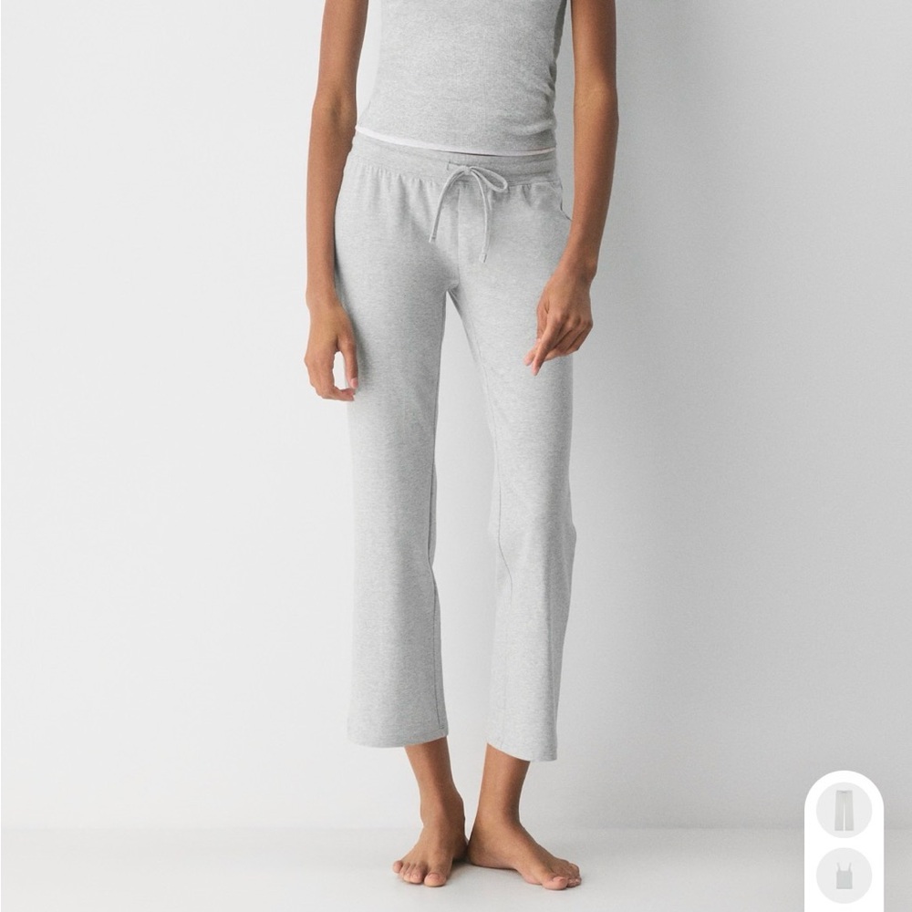 Aritzia Gray Women's Pants